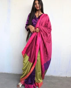 Ahona Handwoven Pure Cotton Viscose Saree - Holi