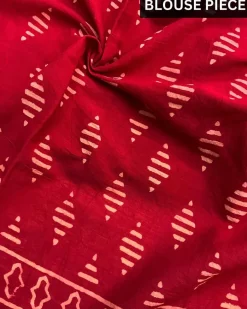 Dragonfly Charm Handblockprinted Cotton Saree