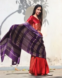 Heba Modal Silk Saree - Rang