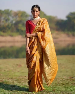 Krishvi Blockprinted Dola Silk Saree - RB