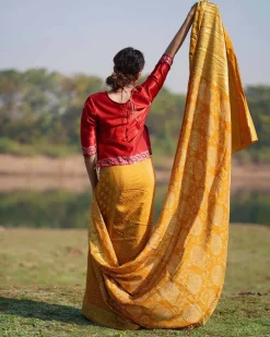 Krishvi Blockprinted Dola Silk Saree - RB