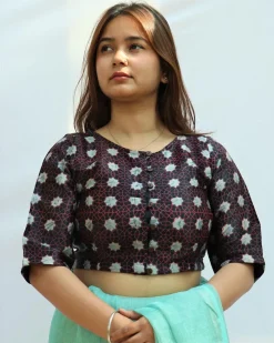 Raya Mashru Silk Blouse
