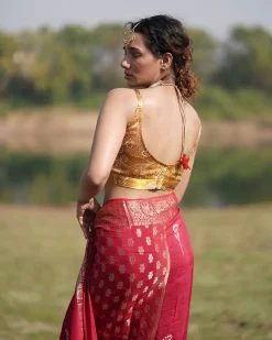 Vilasini Blockprinted Mashru Silk Blouse - RB